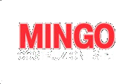 Mingo Costruzioni S.r.l.